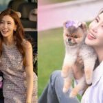 李多海揭爱犬逝世3月：支气管炎与医疗疏失下的痛心安乐死告白