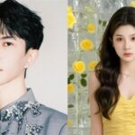 孙琳为于朦朧发声后遭花盆砸疑云再起引发网友持续担忧