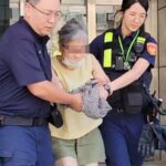 73岁老妇在捷运逼让座引热议，逮捕后竟被揭露为通缉盗犯身份