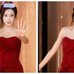 楓葉姊姊生日直播爆紅年齡成謎網友紛紛猜測她究竟多少歲