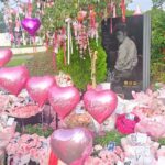 喬任梁38歲冥誕再掀熱議粉色花海與疑雲同行迷雲再起