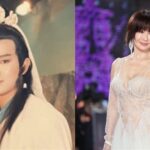 金钟奖夜回忆杀：潘迎紫携灵芝草人与嘟嘟同框再现《浴火凤凰》经典