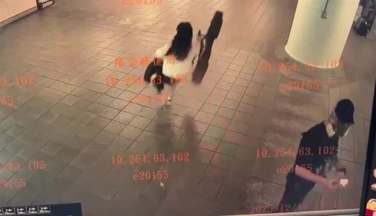 琴盒少女生死2秒惊现治安漏洞沈春華揭露台北血色事件真相