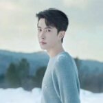 于朦朧坠楼案再掀波澜，化妆师爆料引发公义热潮与疑云