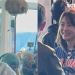 霍諾德徒手攀登台北101全球同步直播引爆熱議與讚嘆震撼